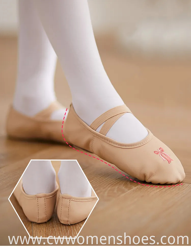 Stylish E5013 Canvas Split Sole Ballet Dance Shoes for Women
